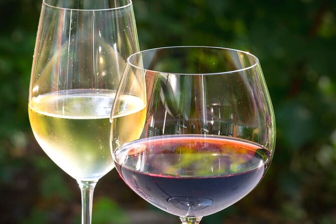 Wine tour peninsula Pelješac - Ston Salt Works: the stop that sounds odd, then clicks